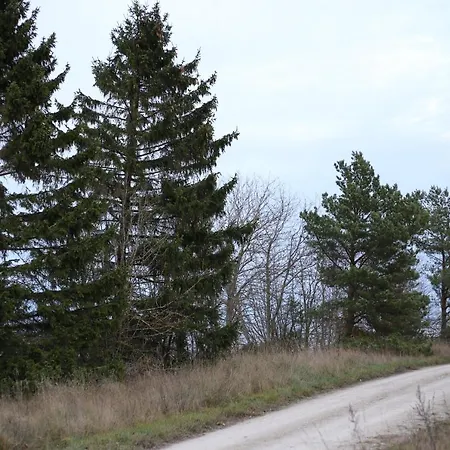 Seaside Getaway In Oeoed Mirror House With Sauna Vihterpalu