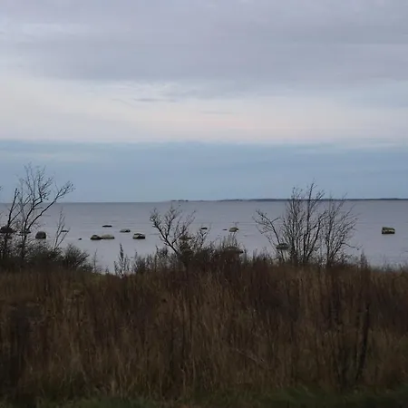 Seaside Getaway In Oeoed Mirror House With Sauna *