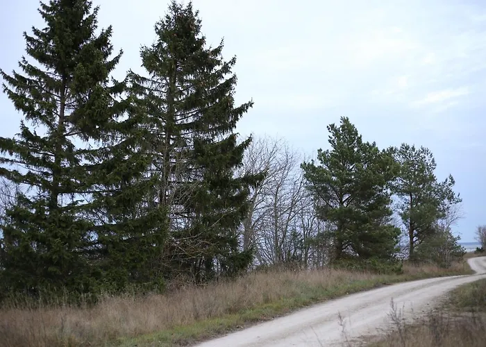 Seaside Getaway In Oeoed Mirror House With Sauna Vihterpalu