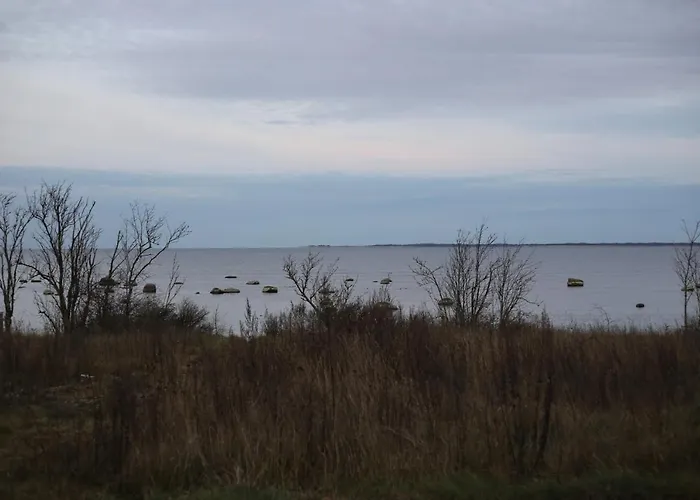 Seaside Getaway In Oeoed Mirror House With Sauna *