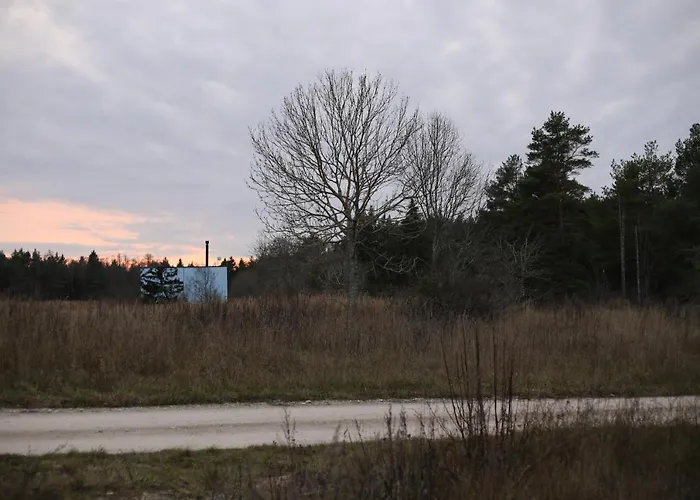 Seaside Getaway In Oeoed Mirror House With Sauna *