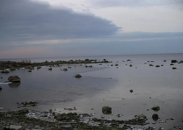 Seaside Getaway In Oeoed Mirror House With Sauna Semesterbostad