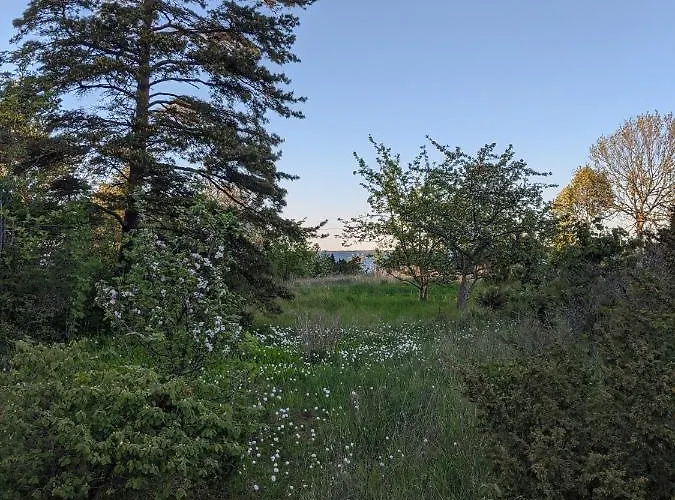 Seaside Getaway In Oeoed Mirror House With Sauna Σπίτι διακοπών